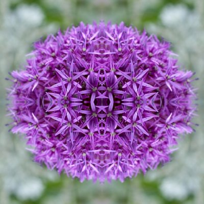 Geometrical Flower 