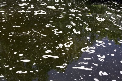 Alphabet Soup