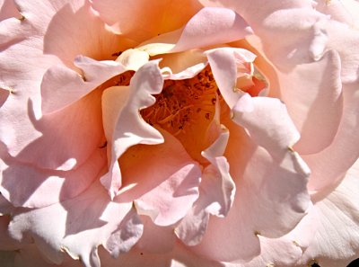 2015-07-11 09:30