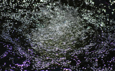 Bubbles