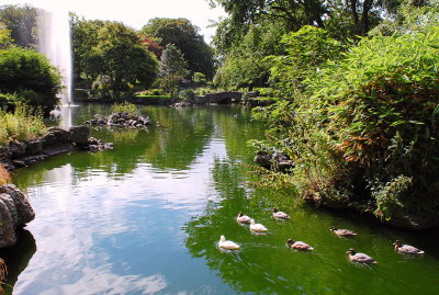 DSC_0165pp.jpg