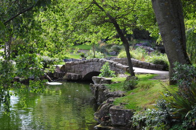 DSC_0166pp.jpg