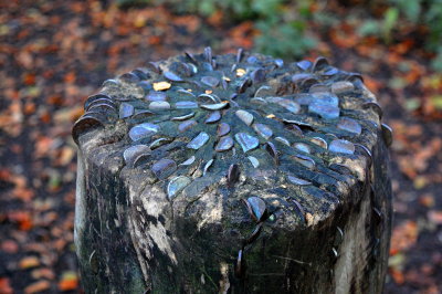 The Coin stump in Witch Wood, Lytham