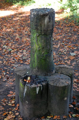 The Coin Stump