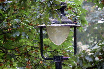 DSC_0591pp.jpg