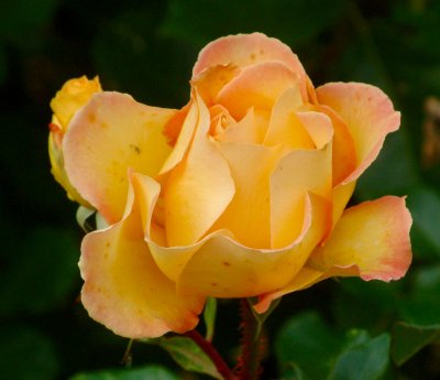 2015-10-25 11:24