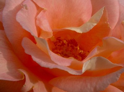 2015-10-25 11:23