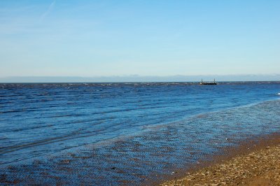 The tide is in !