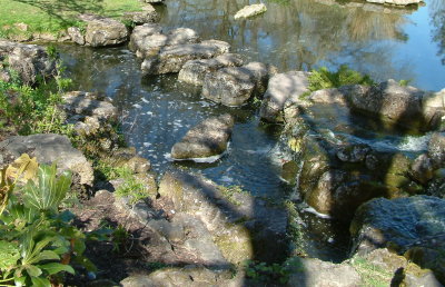 DSCF0012pp.jpg