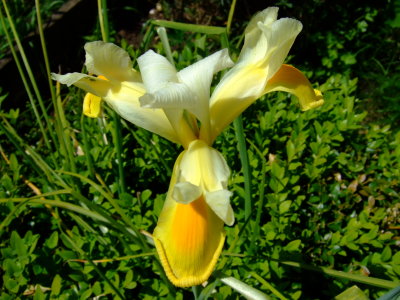 DSCF0662.JPG