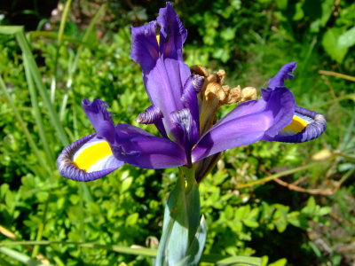 DSCF0663.JPG