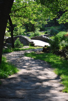 DSC_1929pp.jpg