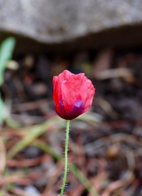 2015-06-10 13:54
