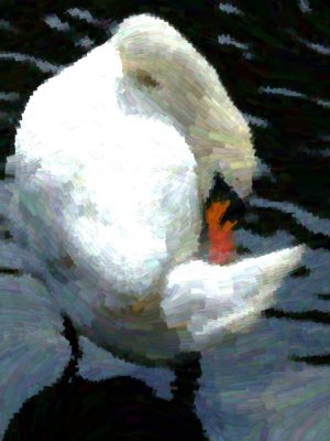 image.jpeg