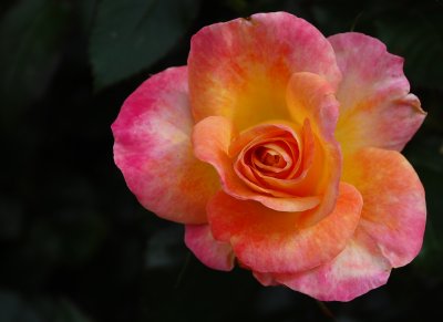 DSC_3428pp.jpg