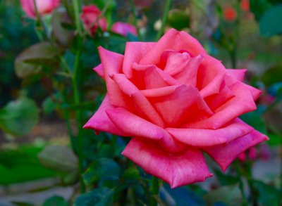 2016-10-05 12:34