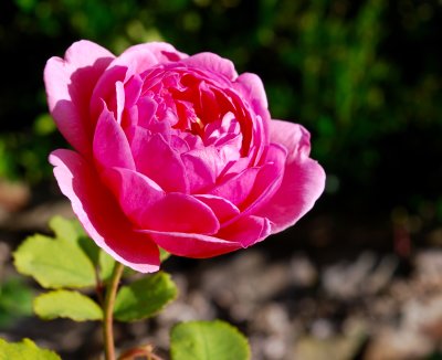 2016-10-05 12:37