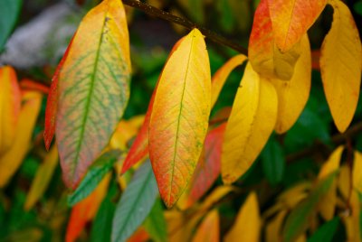 2016-10-30 13:28