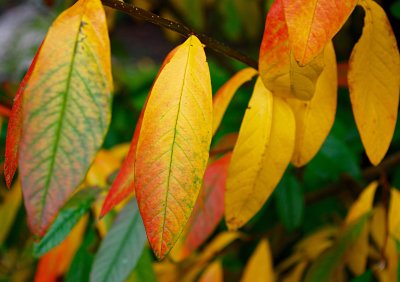 2016-11-12 08:34