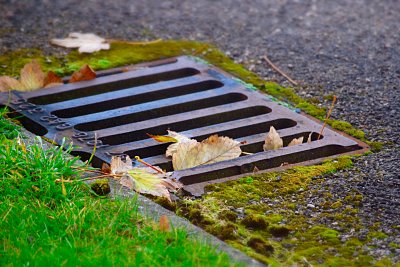 Autumn down the drain