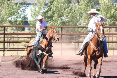2013-09-28 12.28.18-1.jpg