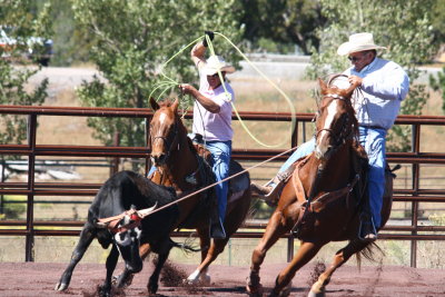2013-09-28 12.30.56-2.jpg