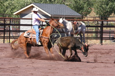 2013-09-28 12.38.02-3.jpg