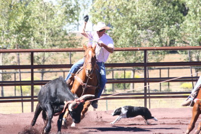 2013-09-28 12.40.34-1.jpg