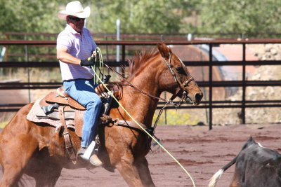 2013-09-28 12.44.18-1.jpg