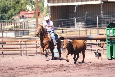 2013-09-28 12.50.52-3.jpg
