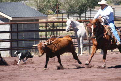 2013-09-28 12.50.55.jpg