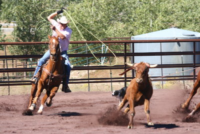 2013-09-28 12.50.59-1.jpg