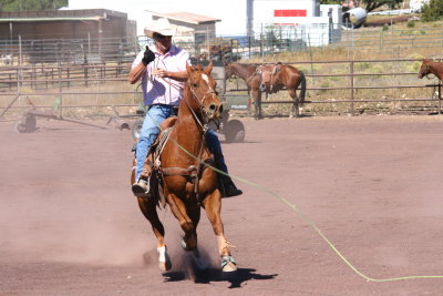 2013-09-28 12.51.14.jpg