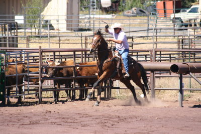 2013-09-28 13.04.46-2.jpg