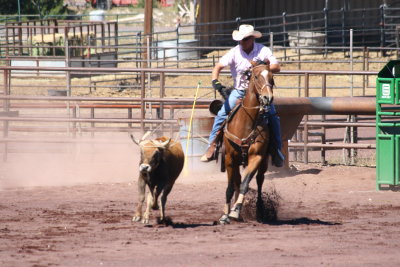 Roping Fun