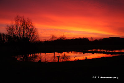 Midwinter Sunrise 2