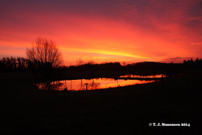 Midwinter Sunrise 1