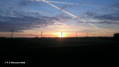 Autumn Dawn 1