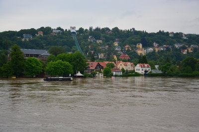 Loschwitzer - 03 June 2013