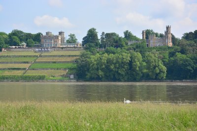 Elbe - 08 June 2013