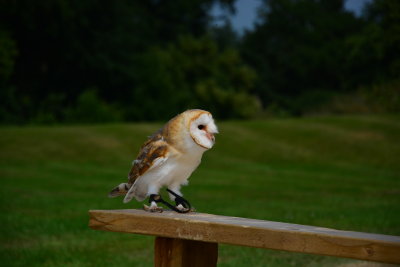 Duncombe Park, North Yorkshire