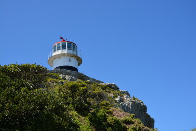 DSC_2678.JPG