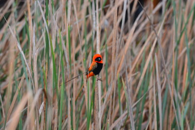 DSC_3277.JPG