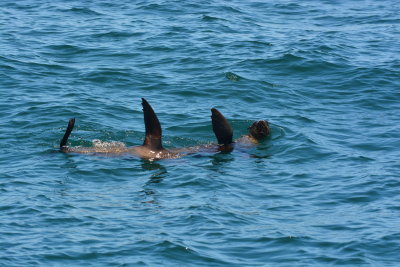 DSC_3475.JPG
