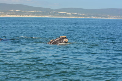 DSC_3574.JPG