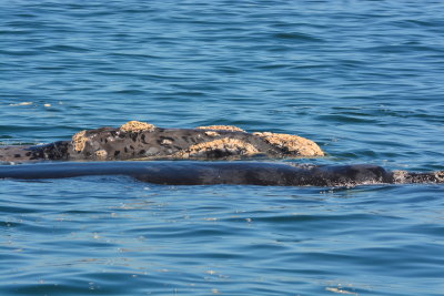 DSC_3616.JPG