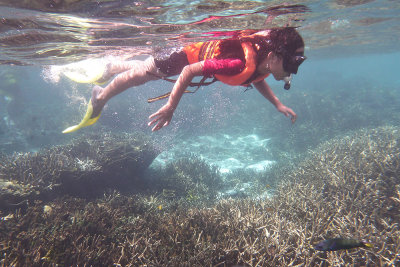 P1070844.jpg