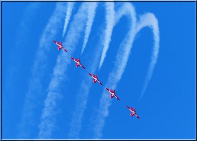 Snowbirds 