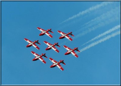 Snowbirds