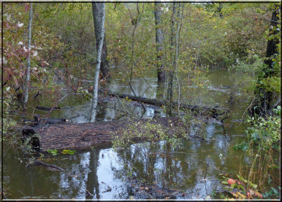 River Overflow